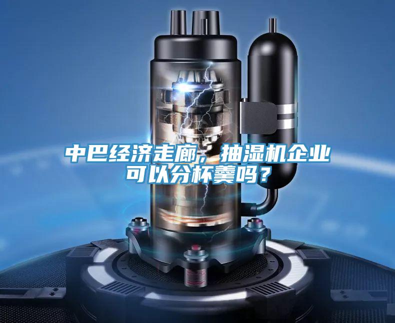 中巴经济走廊，抽湿机企业可以分杯羹吗？