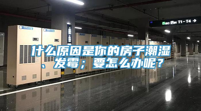 什么原因是你的房子潮湿、发霉；要怎么办呢？