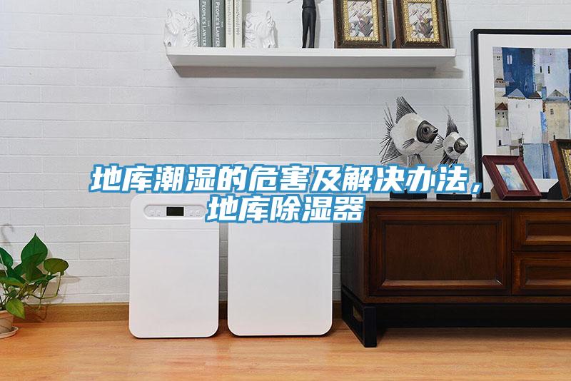 地库潮湿的危害及解决办法，地库除湿器
