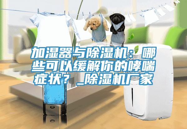 加湿器与除湿机：哪些可以缓解你的哮喘症状？_除湿机厂家