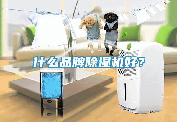 什么品牌除湿机好？