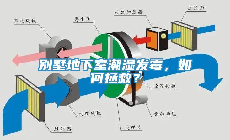 别墅地下室潮湿发霉，如何拯救？