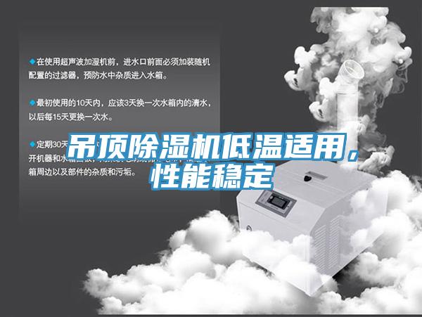吊顶除湿机低温适用，性能稳定