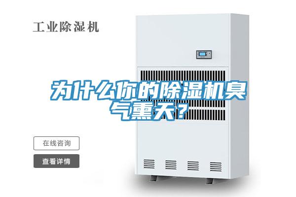 为什么你的除湿机臭气熏天？