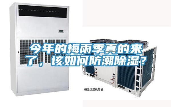 今年的梅雨季真的来了，该如何防潮除湿？