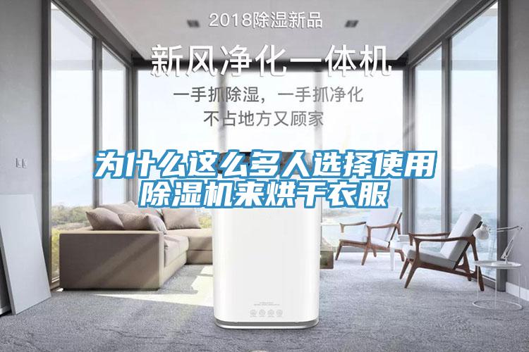 为什么这么多人选择使用除湿机来烘干衣服