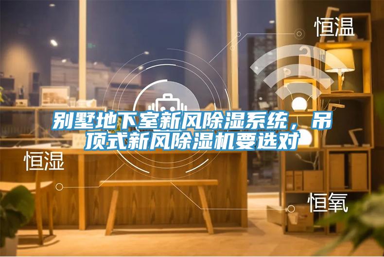 别墅地下室新风除湿系统，吊顶式新风除湿机要选对