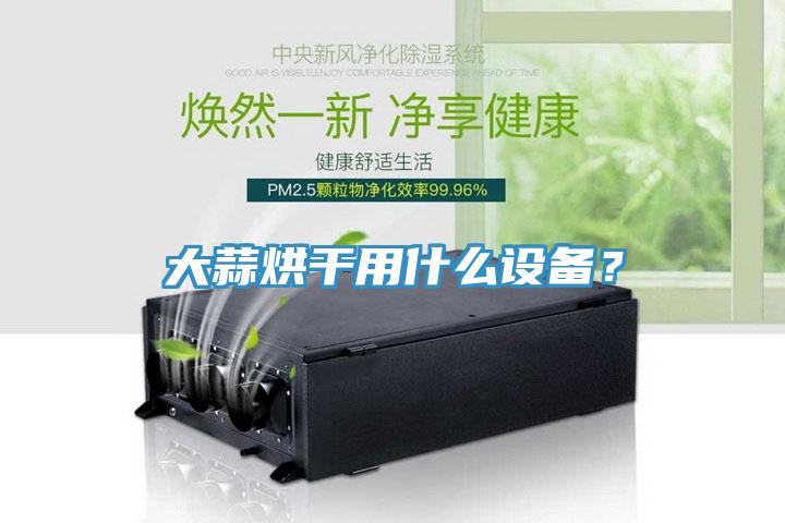 大蒜烘干用什么设备？