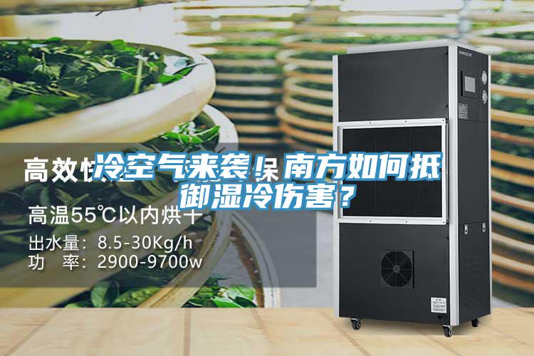 冷空气来袭！南方如何抵御湿冷伤害？