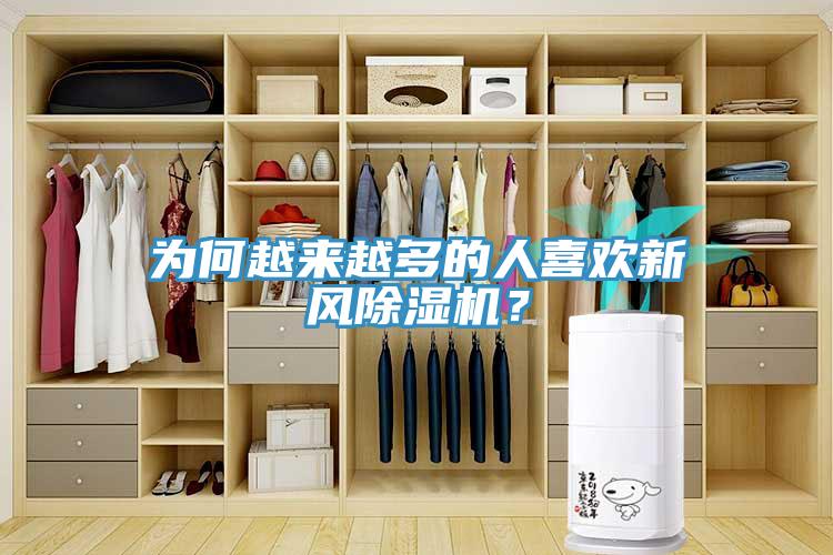 为何越来越多的人喜欢新风除湿机？