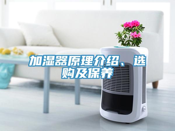 加湿器原理介绍、选购及保养