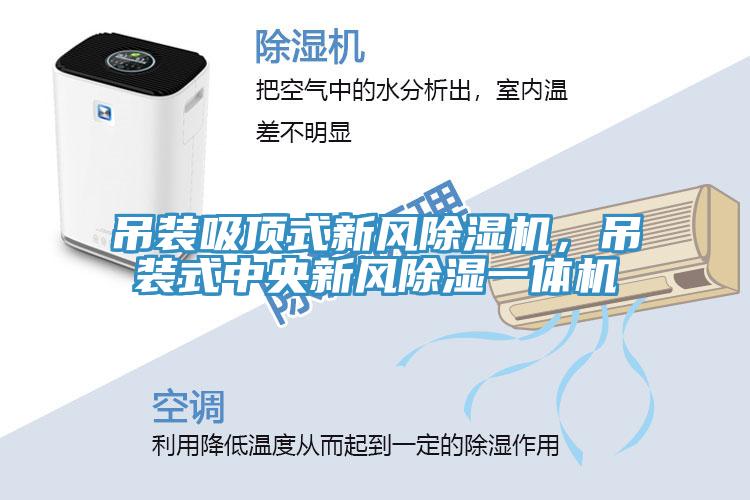吊装吸顶式新风除湿机，吊装式中央新风除湿一体机