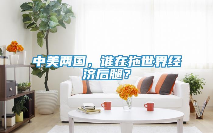 中美两国，谁在拖世界经济后腿？