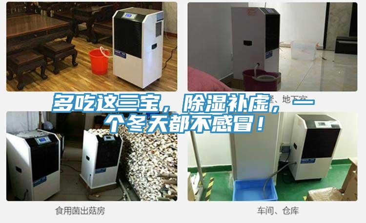 多吃这三宝，除湿补虚，一个冬天都不感冒！