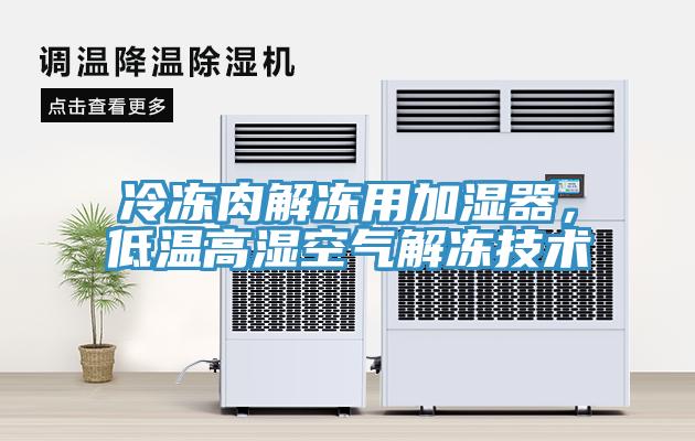 冷冻肉解冻用加湿器，低温高湿空气解冻技术