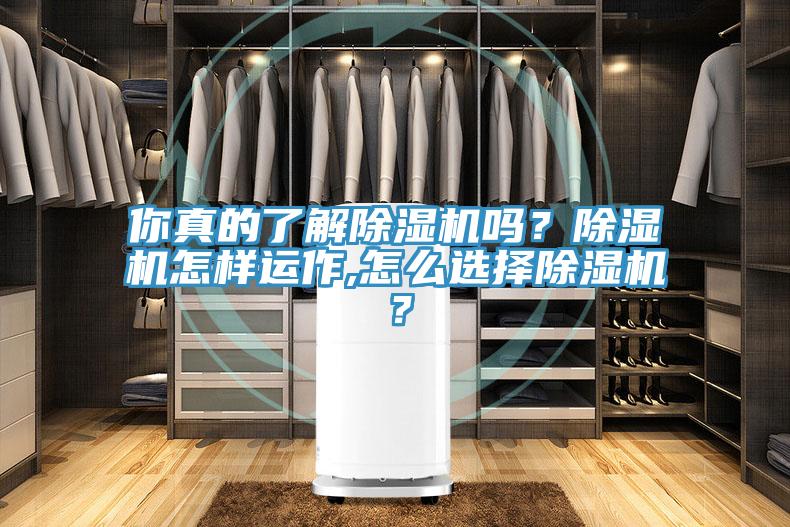 你真的了解除湿机吗？除湿机怎样运作,怎么选择除湿机？