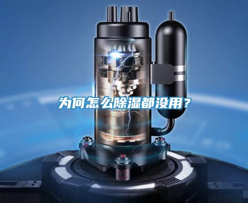 为何怎么除湿都没用？