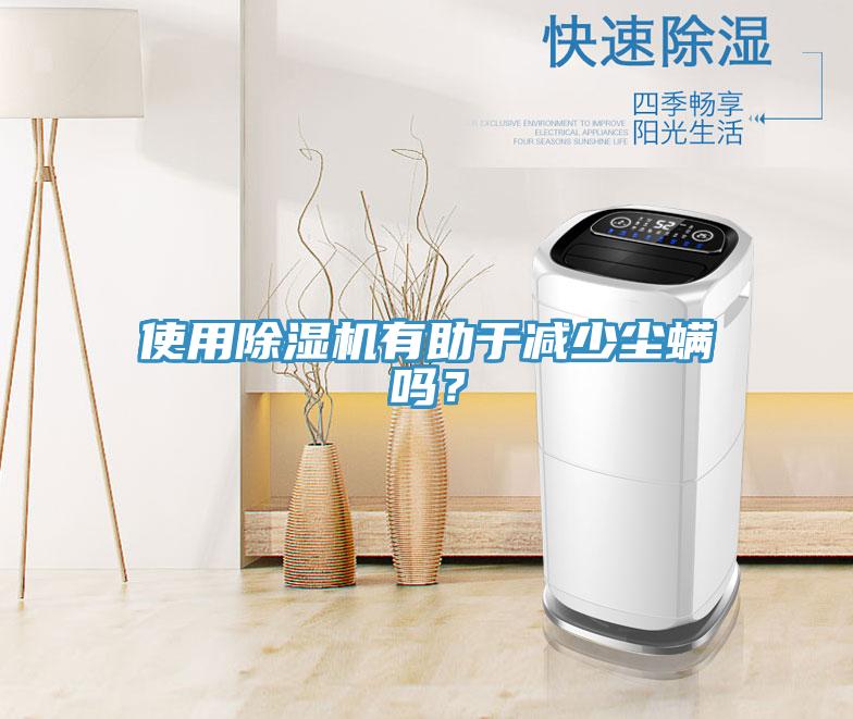 使用除湿机有助于减少尘螨吗？