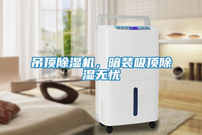 吊顶除湿机，暗装吸顶除湿无忧