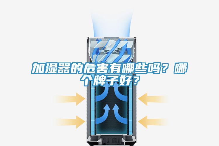 加湿器的危害有哪些吗？哪个牌子好？