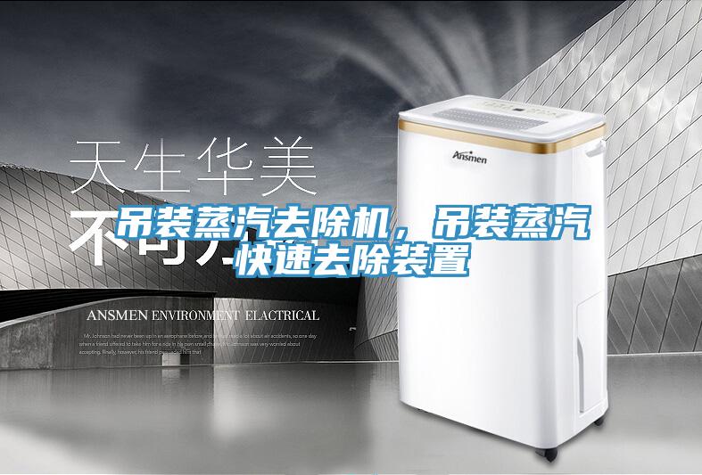 吊装蒸汽去除机，吊装蒸汽快速去除装置