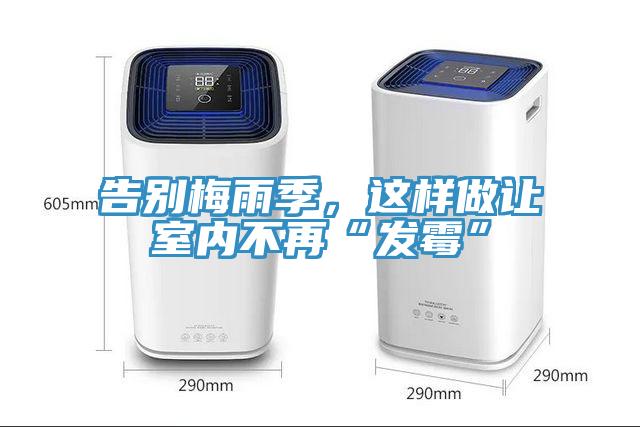 告别梅雨季，这样做让室内不再“发霉”