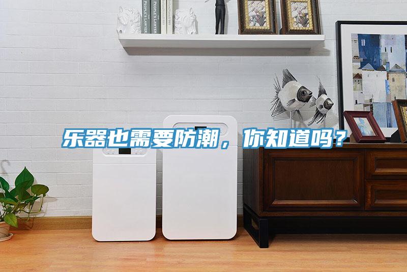 乐器也需要防潮，你知道吗？