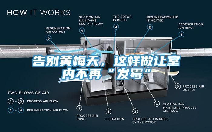 告別黃梅天，這樣做讓室內(nèi)不再“發(fā)霉”