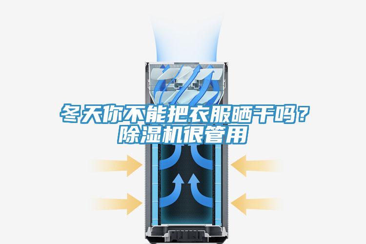 冬天你不能把衣服晒干吗？除湿机很管用
