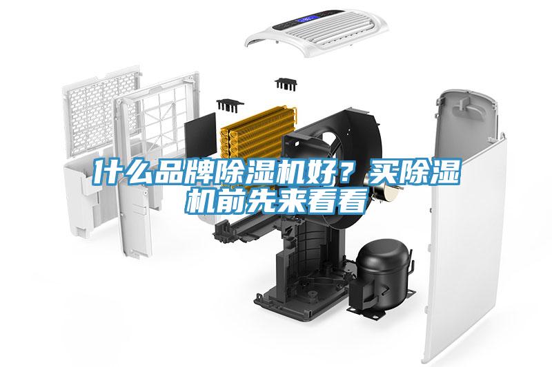什么品牌除湿机好？买除湿机前先来看看