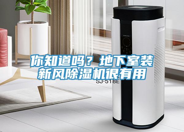 你知道吗？地下室装新风除湿机很有用