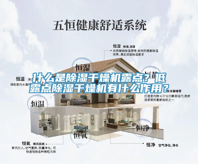 什么是除湿干燥机露点？低露点除湿干燥机有什么作用？
