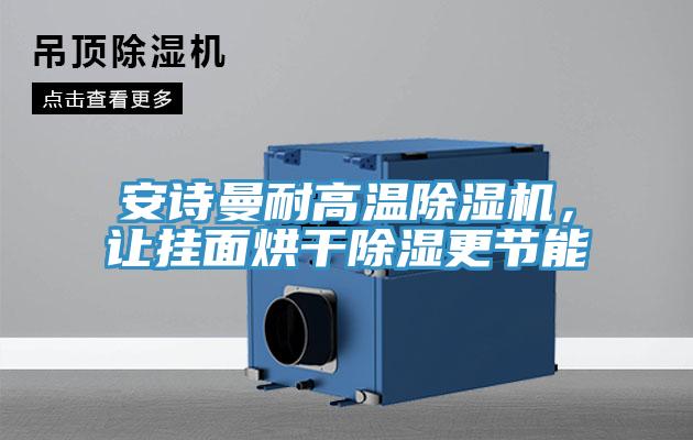 安诗曼耐高温除湿机，让挂面烘干除湿更节能