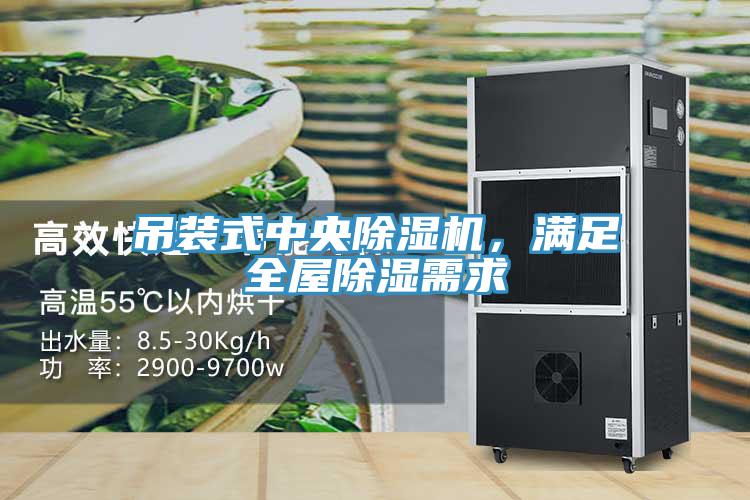 吊装式中央除湿机，满足全屋除湿需求