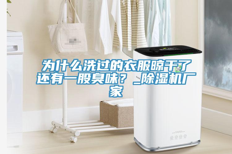 为什么洗过的衣服晾干了还有一股臭味？_除湿机厂家