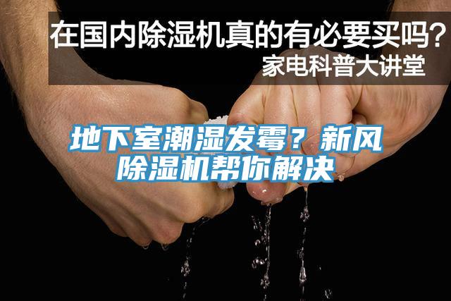地下室潮湿发霉？新风除湿机帮你解决