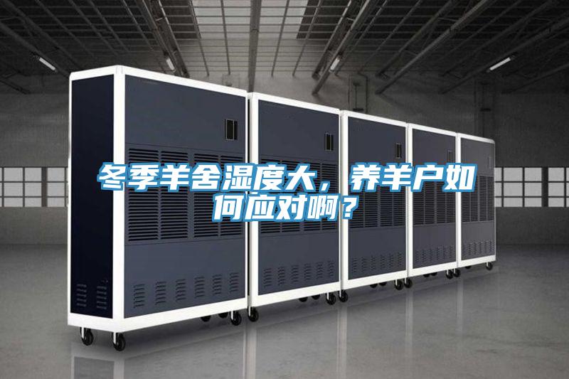 冬季羊舍湿度大，养羊户如何应对??？