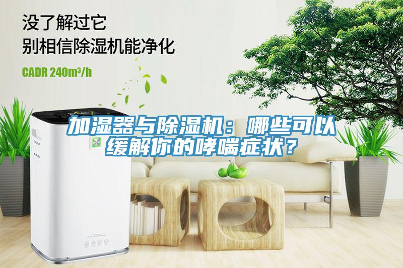 加湿器与除湿机：哪些可以缓解你的哮喘症状？