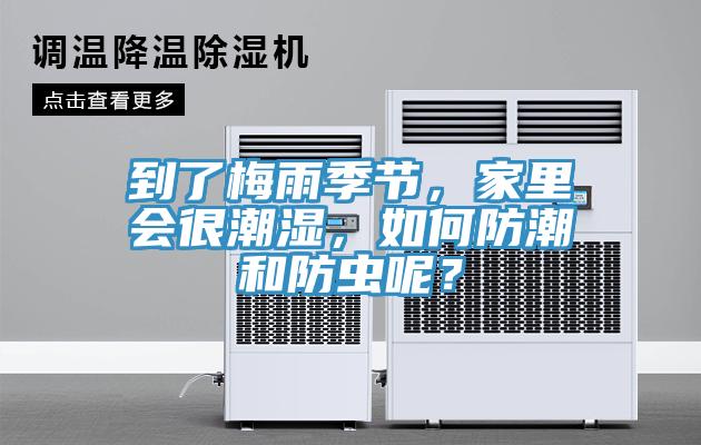 到了梅雨季节，家里会很潮湿，如何防潮和防虫呢？
