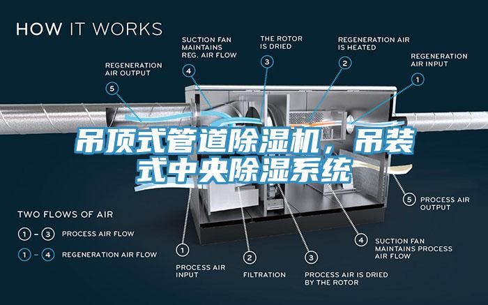 吊顶式管道除湿机，吊装式中央除湿系统