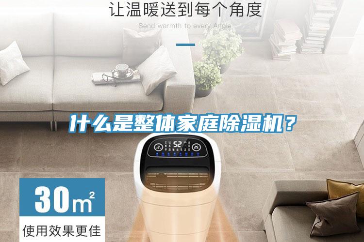 什么是整体家庭除湿机？