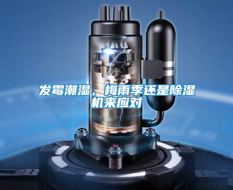 发霉潮湿，梅雨季还是除湿机来应对
