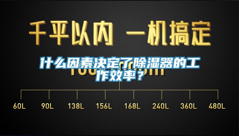 什么因素决定了除湿器的工作效率？