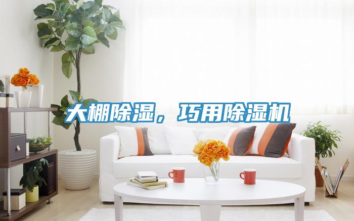 大棚除湿，巧用除湿机
