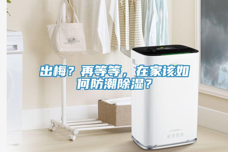 出梅？再等等，在家该如何防潮除湿？