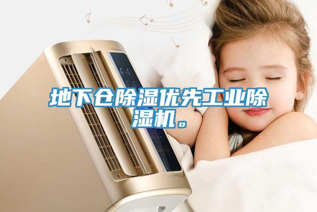 地下仓除湿优先工业除湿机。