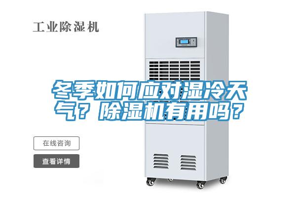 冬季如何应对湿冷天气？除湿机有用吗？