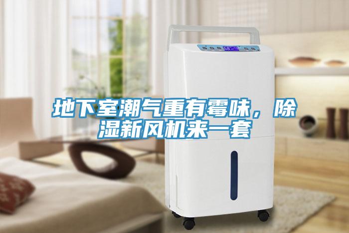 地下室潮气重有霉味，除湿新风机来一套