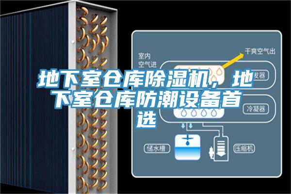 地下室仓库除湿机，地下室仓库防潮设备首选