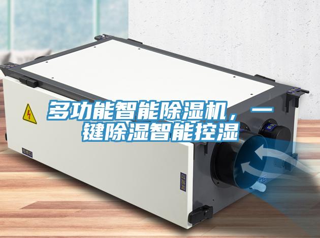 多功能智能除湿机，一键除湿智能控湿